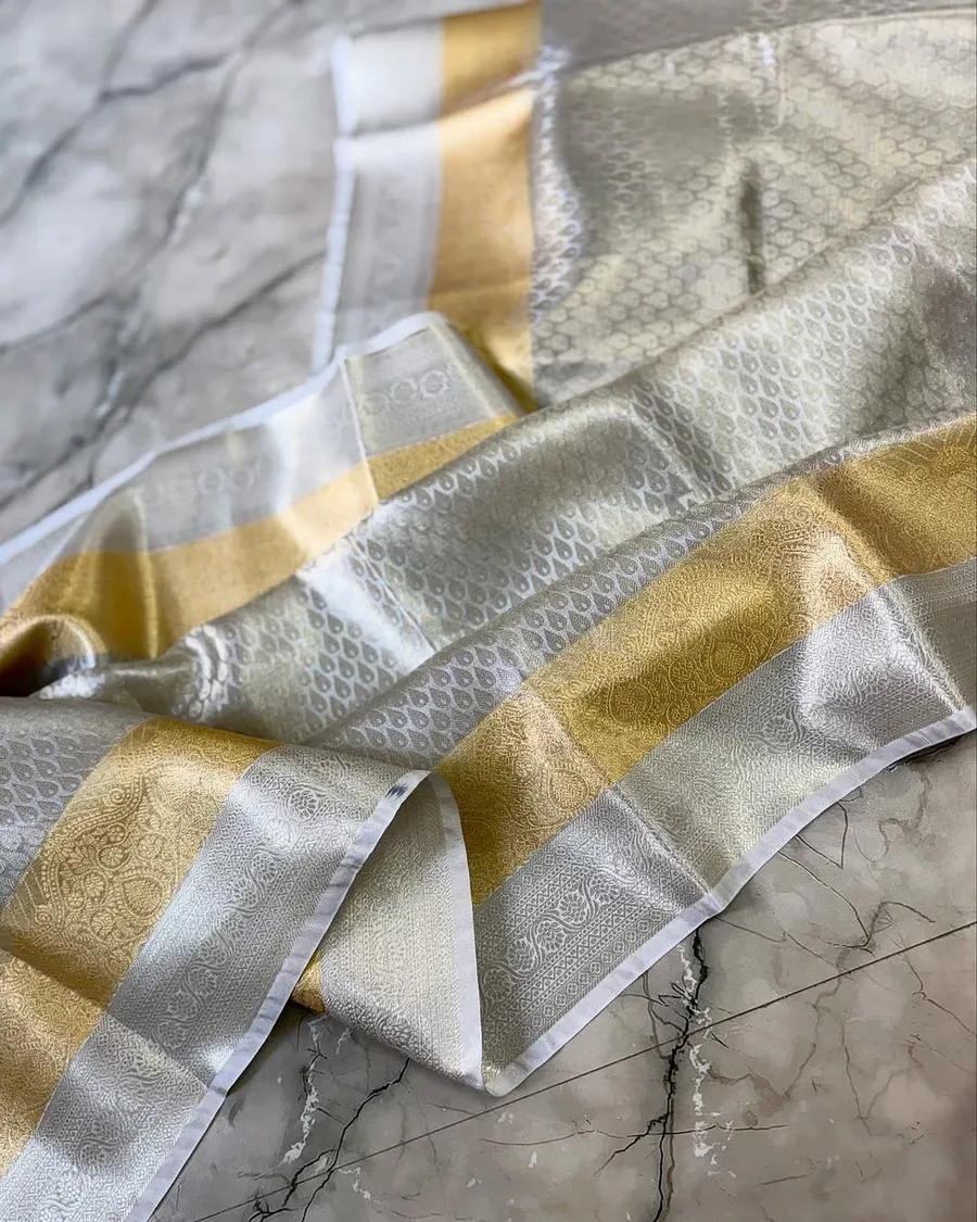 Banarasi Zari Tissue Sarees